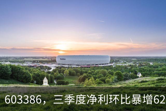 603386，三季度净利环比暴增620%！股价5天2板